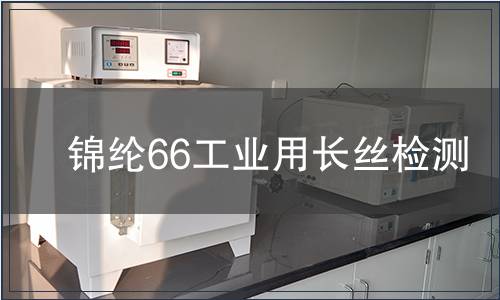 錦綸66工業(yè)用長絲檢測