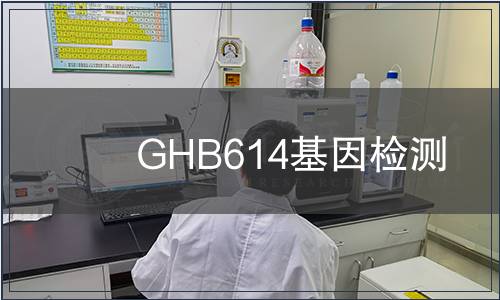 GHB614基因檢測(cè)
