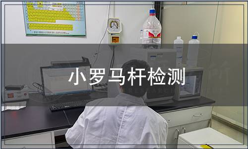 小羅馬桿檢測(cè)