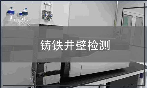 鑄鐵井壁檢測