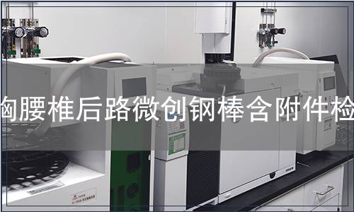 胸腰椎后路微創(chuàng)鋼棒含附件檢測