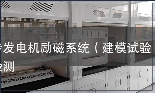 同步發電機勵磁系統（建模試驗）檢測