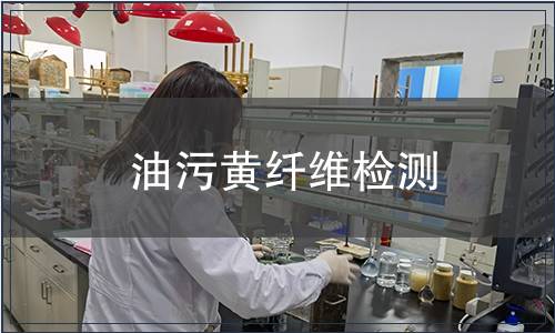 油污黃纖維檢測