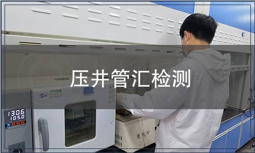 壓井管匯檢測