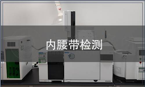 內(nèi)腰帶檢測