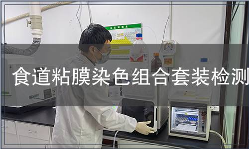 食道粘膜染色組合套裝檢測