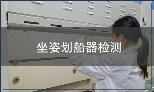 坐姿劃船器檢測