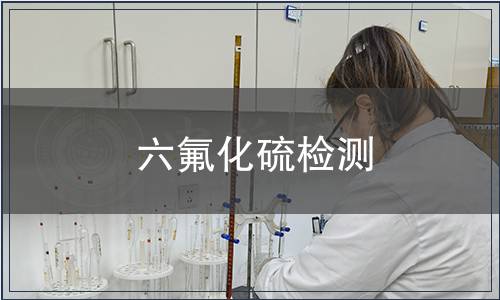 六氟化硫檢測(cè)