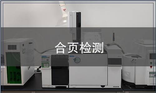 合頁(yè)檢測(cè)